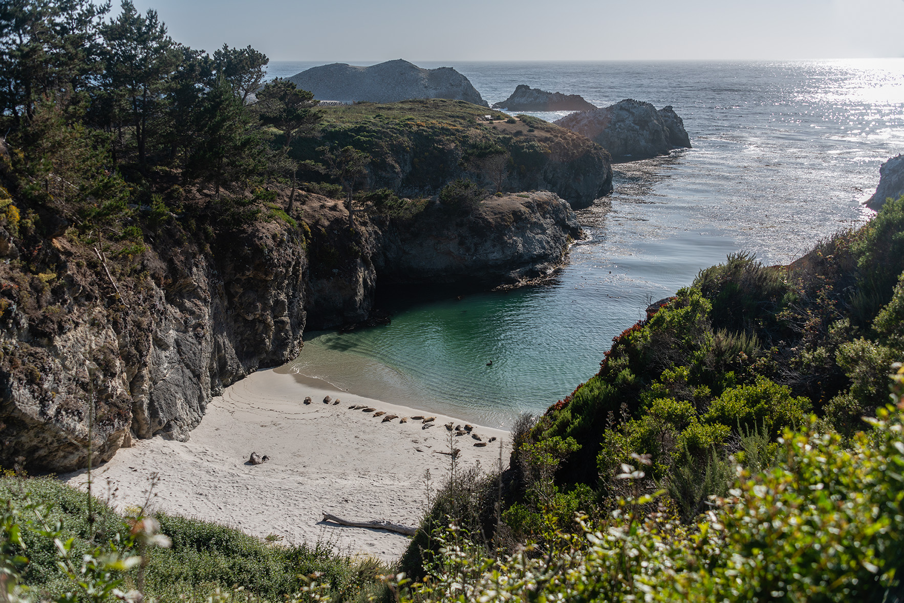 Point Lobos, California