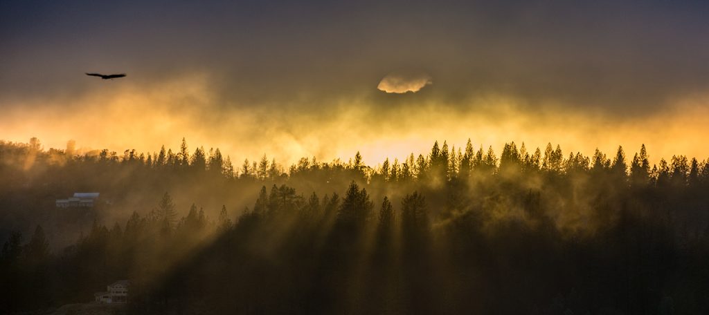 Sierra Nevada Foothills, California