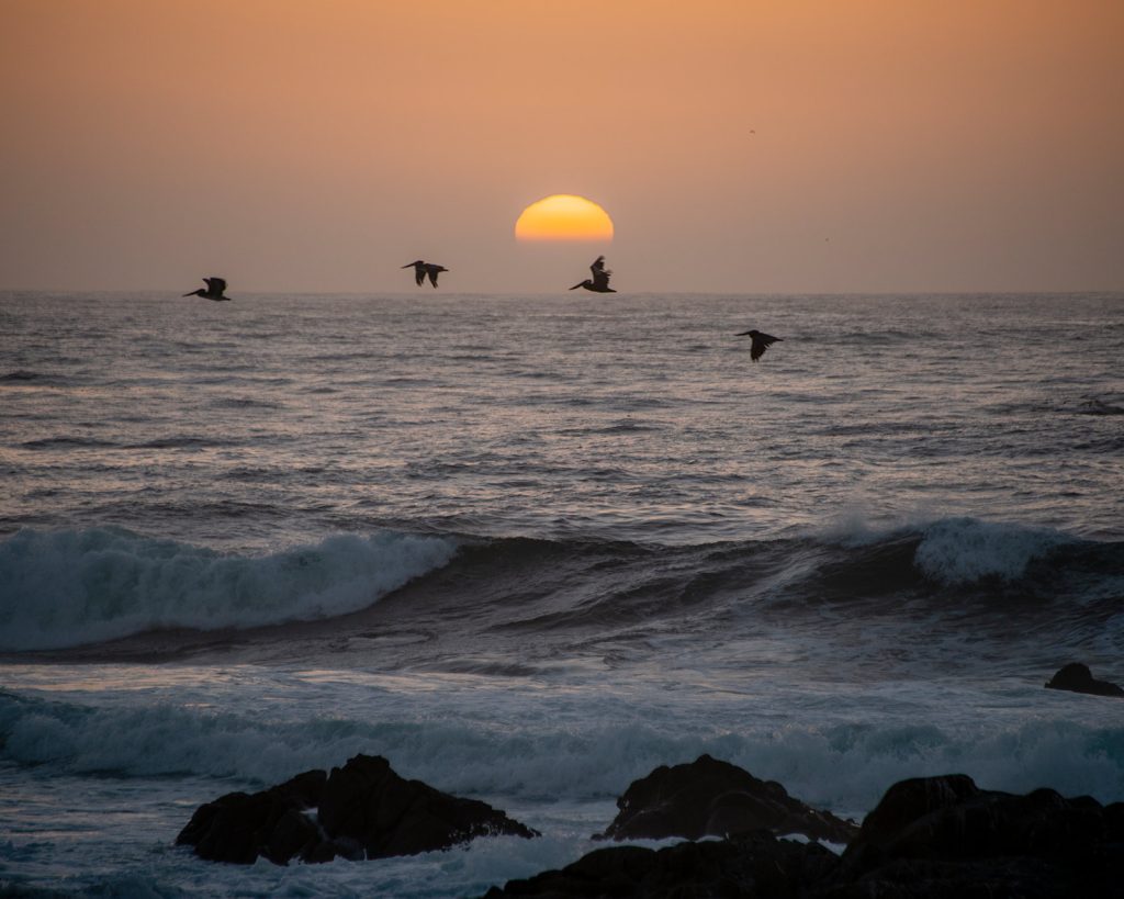 Sunset in Monterey Bay, California
